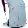 Osprey Hikelite Wandelrugzak - 26 Liter - Zilver