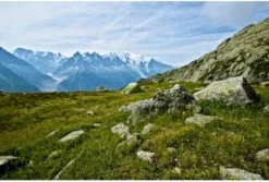 Vango F10 Helium UL 2 Ultralichte Trekking Tunneltent - 1/2 Persoons - Groen 10 Vango F10 Helium UL 2 Ultralichte Trekking Tunneltent - 1/2 Persoons - Groen -Winkel Voor Kampeerartikelen 1900 1783 f10 helium ul 2 3