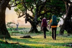 Osprey Renn Backpack - 50 Liter - Paars -Winkel Voor Kampeerartikelen osprey rennrook 4